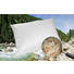 ZIRBENKISSEN 40/60 cm - Weiß, Natur, Textil (40/60cm) - Sleeptex ZIRBENKISSEN 40/60 cm - Weiß, Natur, Textil (40/60cm) - Sleeptex