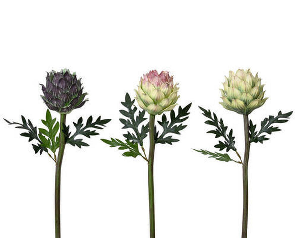 DEKOZWEIG - LIFESTYLE, Kunststoff (10,00/10,00/50,00cm)