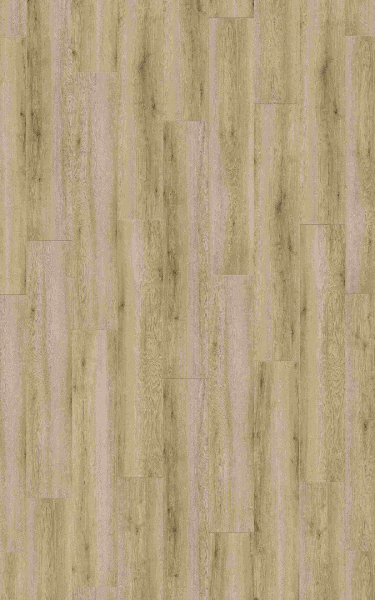 LAMINATBODEN Eiche Montafon Venda Atlas  per  m² - Eichefarben, KONVENTIONELL, Holzwerkstoff (138/24,4/0,8cm) - Venda