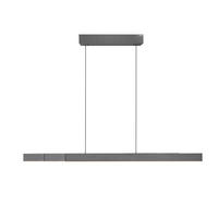LED-HÄNGELEUCHTE 200/8,2/240 cm  - Hellgrau, Design, Kunststoff/Metall (200/8,2/240cm) - Neuhaus PURE
