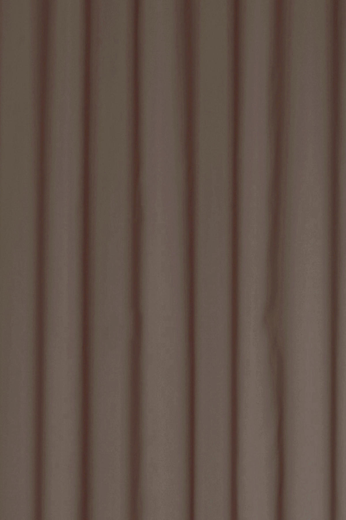 SCHLAUFENSCHAL  transparent   140/300 cm 2 Stück  - Dunkelbraun/Braun, Basics, Textil (140/300cm)
