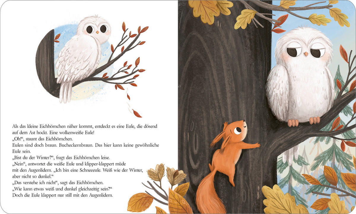 BUCH Bist du der Winter?  - Multicolor, Basics, Papier (22/28/1cm)