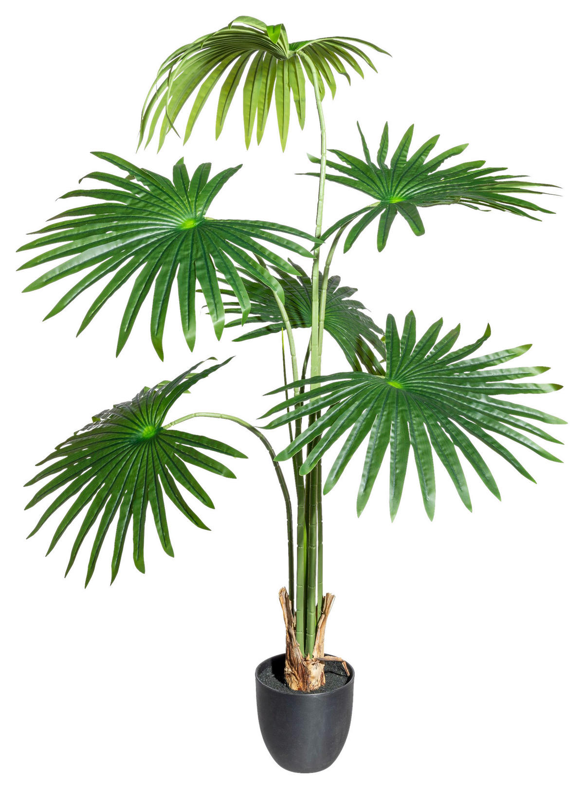 KUNSTPFLANZE Palme 120 cm  - Schwarz/Grün, Design, Kunststoff (120cm) - P & B