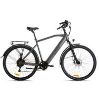 ELEKTROFAHRRAD - Anthrazit, Basics, Metall (180/70/100cm) - Atrigo