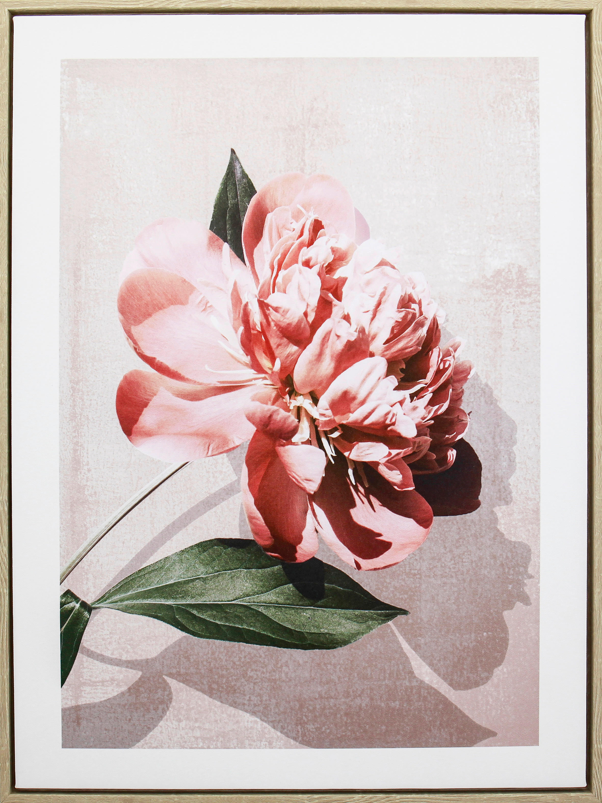Levně Monee TIŠTĚNÉ OBRAZY NA PLÁTNĚ, květiny, 45/60 cm