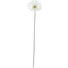 KUNSTBLUME - Creme/Grün, Basics, Kunststoff/Textil (56cm) KUNSTBLUME - Creme/Grün, Basics, Kunststoff/Textil (56cm)