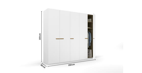 DREHTÜRENSCHRANK 251/223/60 cm 5-türig Weiß - Weiß, Trend, Holz/Holzwerkstoff (251/223/60cm) - Novel