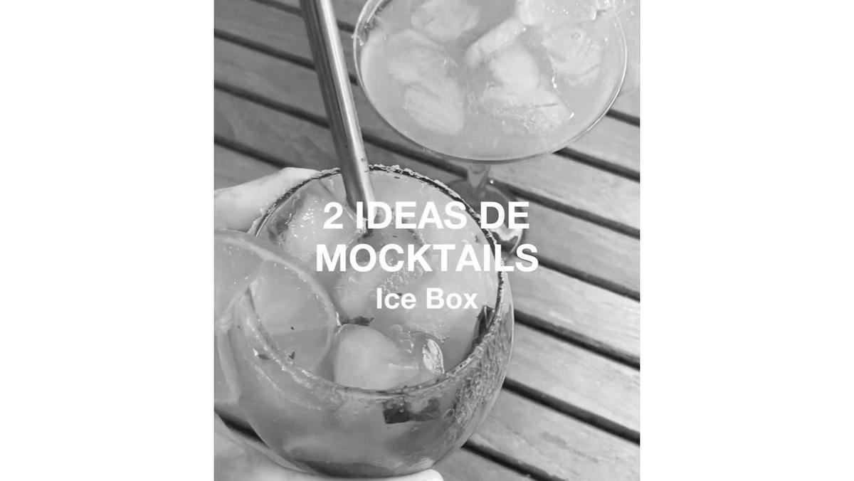 POSODA ZA KOCKE LEDU - črna, Basics, umetna masa (12,5/12,5/22,5cm) - LEKUE