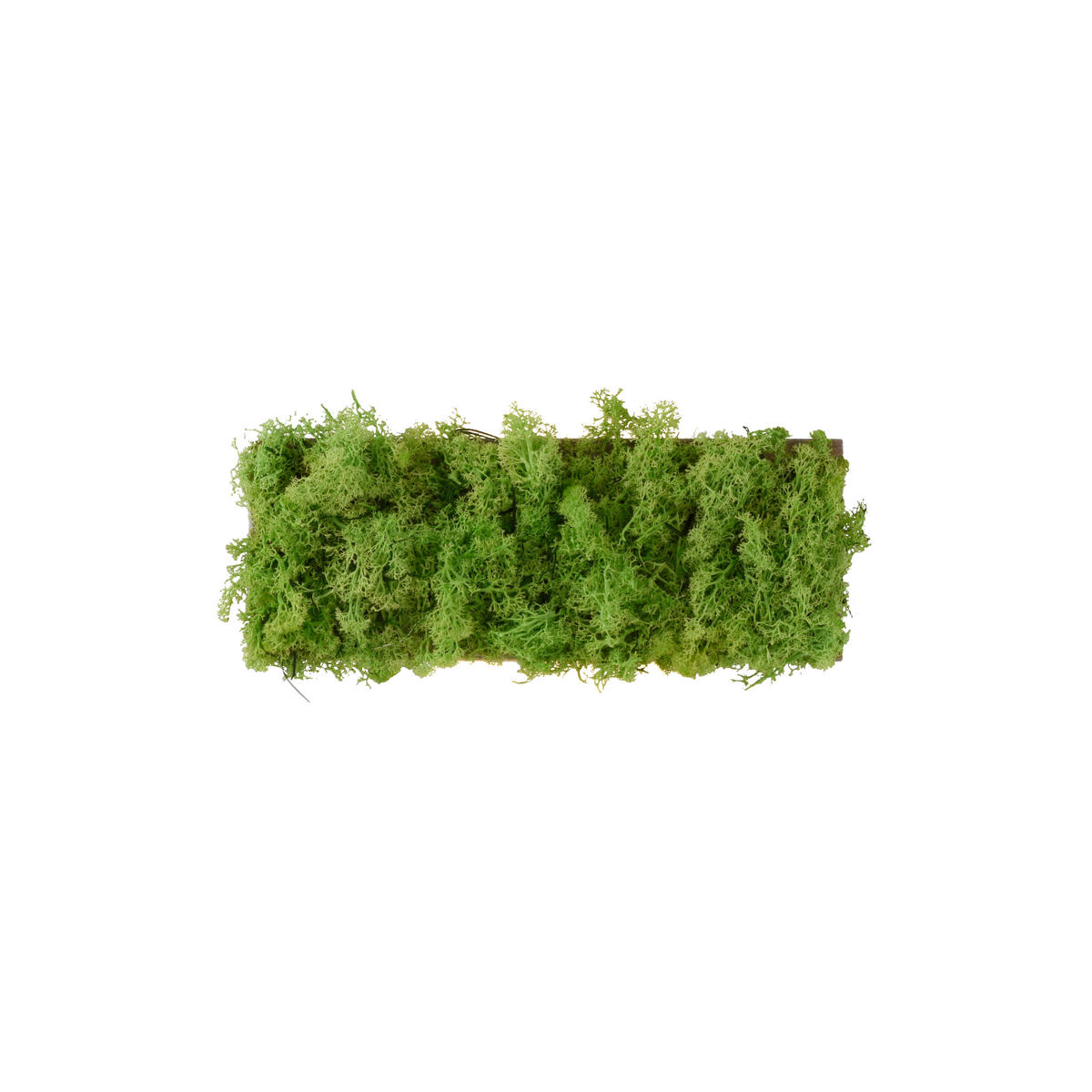 WANDLEUCHTE Carlo 32/6/12 cm   - Natur, Naturmaterialien (32/6/12cm)