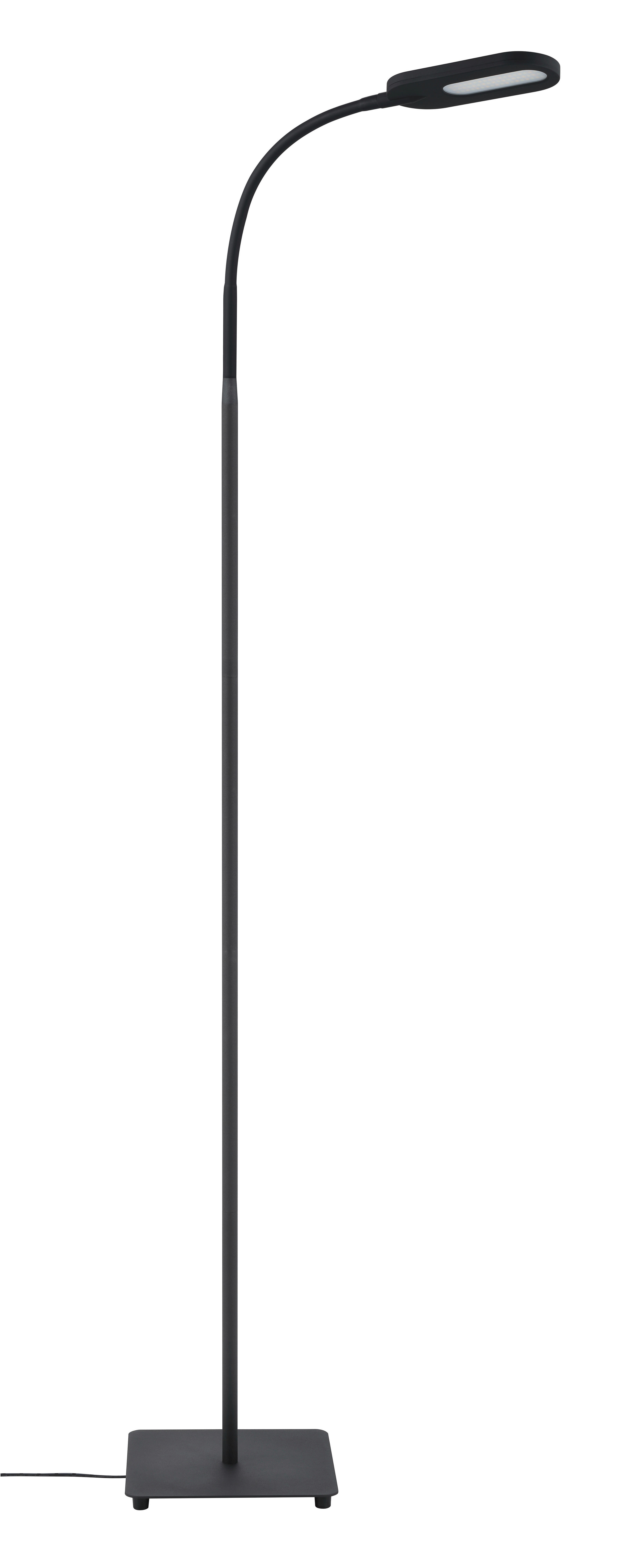 LED STOJACIA LAMPA, 21/128 cm  - čierna, Basics, kov (21/128cm) - Novel