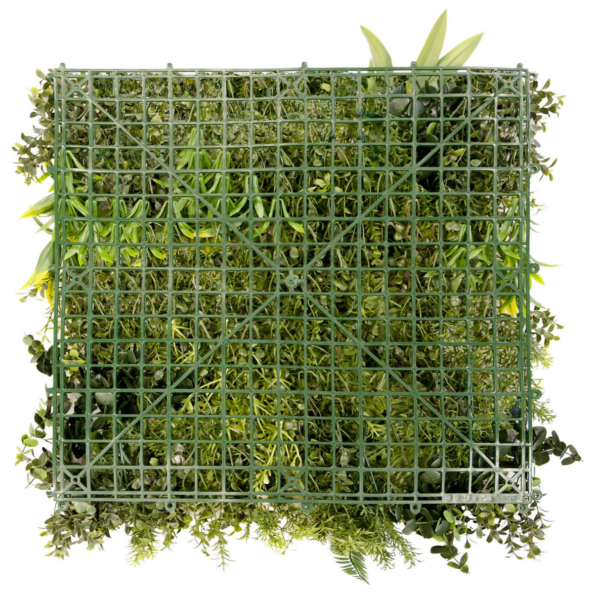 WANDVERKLEIDUNG  - Hellrot/Gelb, Trend, Kunststoff (50/50cm) - Floordirekt