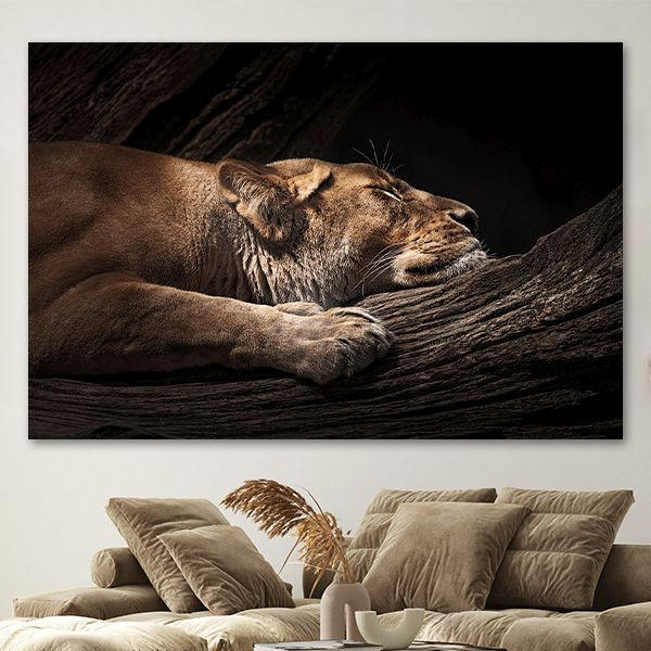 BILD Manfred Spies Tiere Schlafende Löwin   - Multicolor, Design, Holzwerkstoff/Kunststoff (120/80cm) - Wiedemann