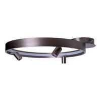 LED-DECKENLEUCHTE 65/58/9 cm   - Titanfarben, KONVENTIONELL, Kunststoff/Metall (65/58/9cm) - Näve