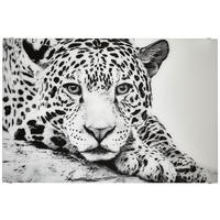 GLASBILD Tiere 120/80 cm  - Schwarz/Weiß, Basics, Glas (120/80cm) - Monee