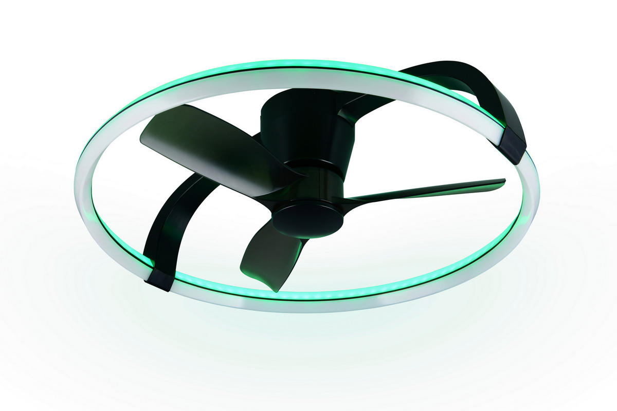 DECKENVENTILATOR - Schwarz/Weiß, Design, Kunststoff (73.5/23cm)
