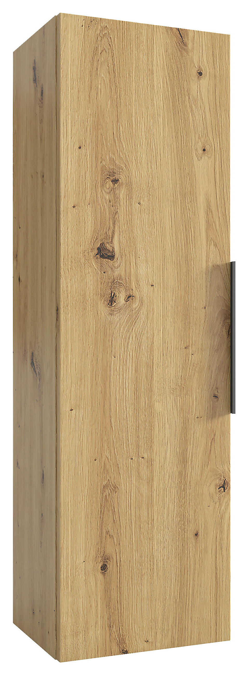 HÄNGEELEMENT Schwarz, Eichefarben - Eichefarben/Schwarz, Basics, Holzwerkstoff/Metall (25,5/90/27,7cm)