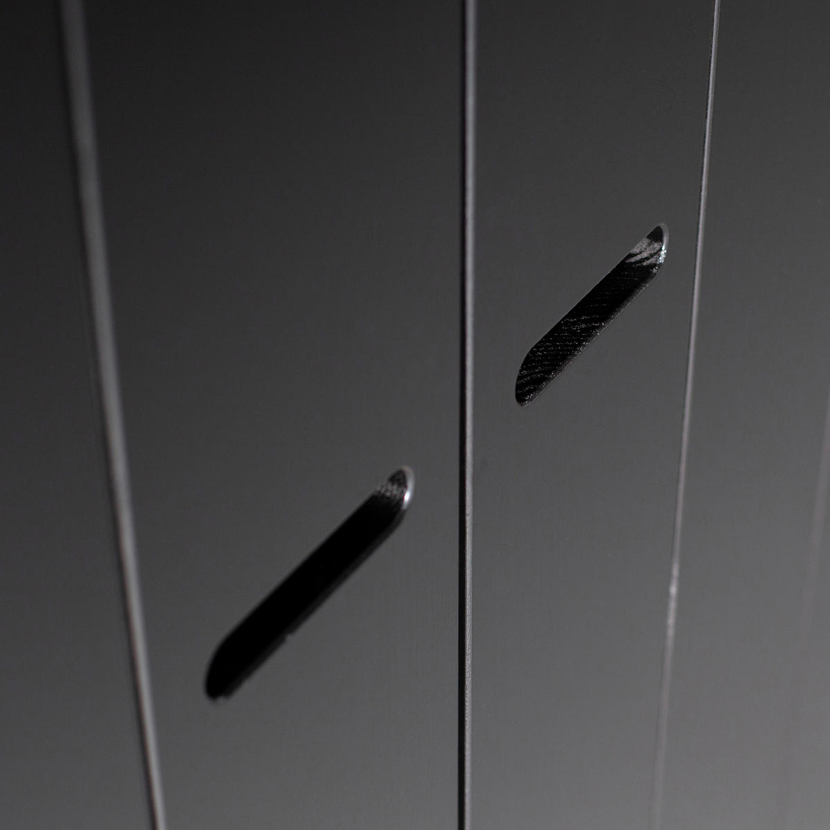 DREHTÜRENSCHRANK  in Schwarz  - Schwarz, Design, Holz (94/195/53cm) - Livetastic