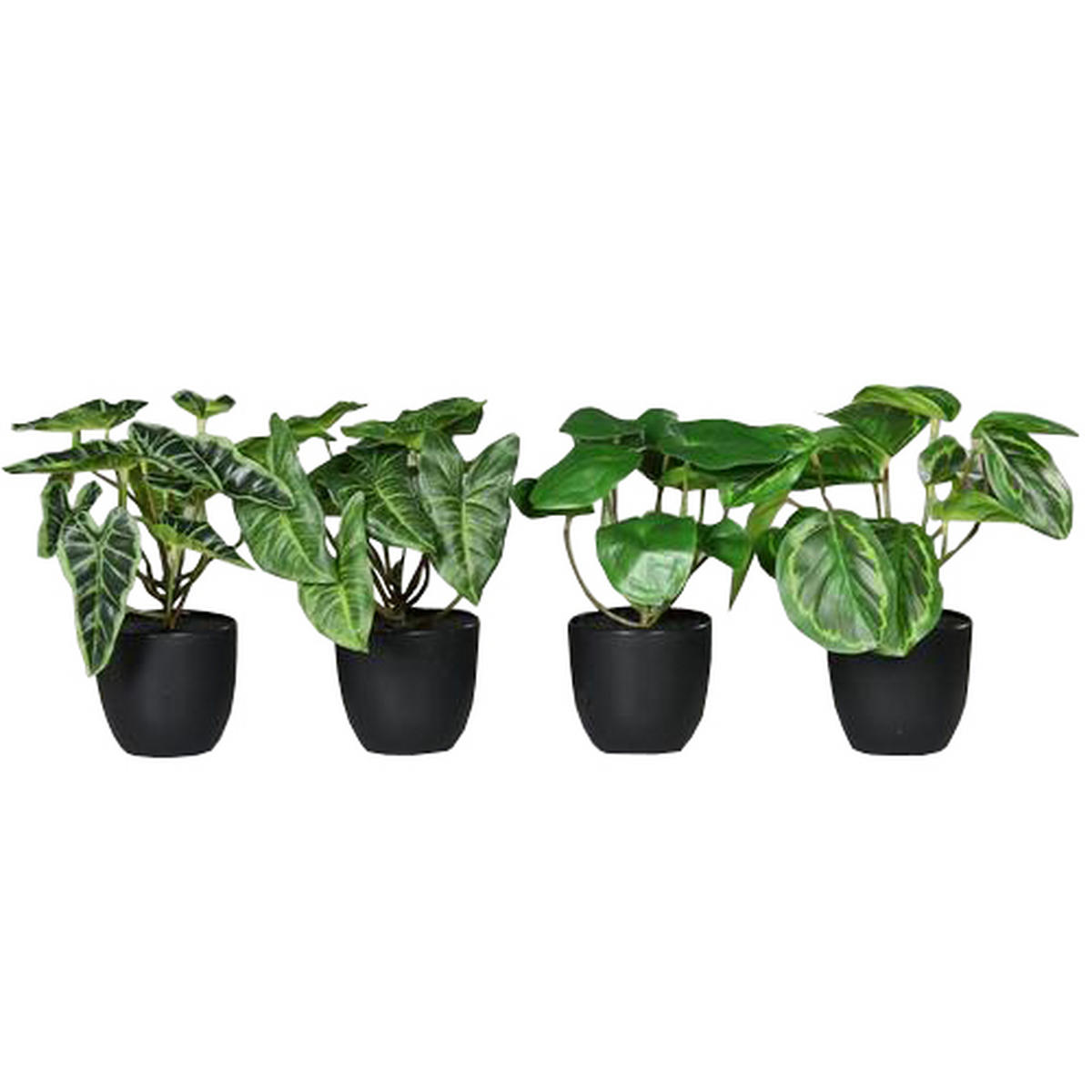 DEKOPFLANZE 22 cm  - Grün, Basics, Kunststoff (22cm)