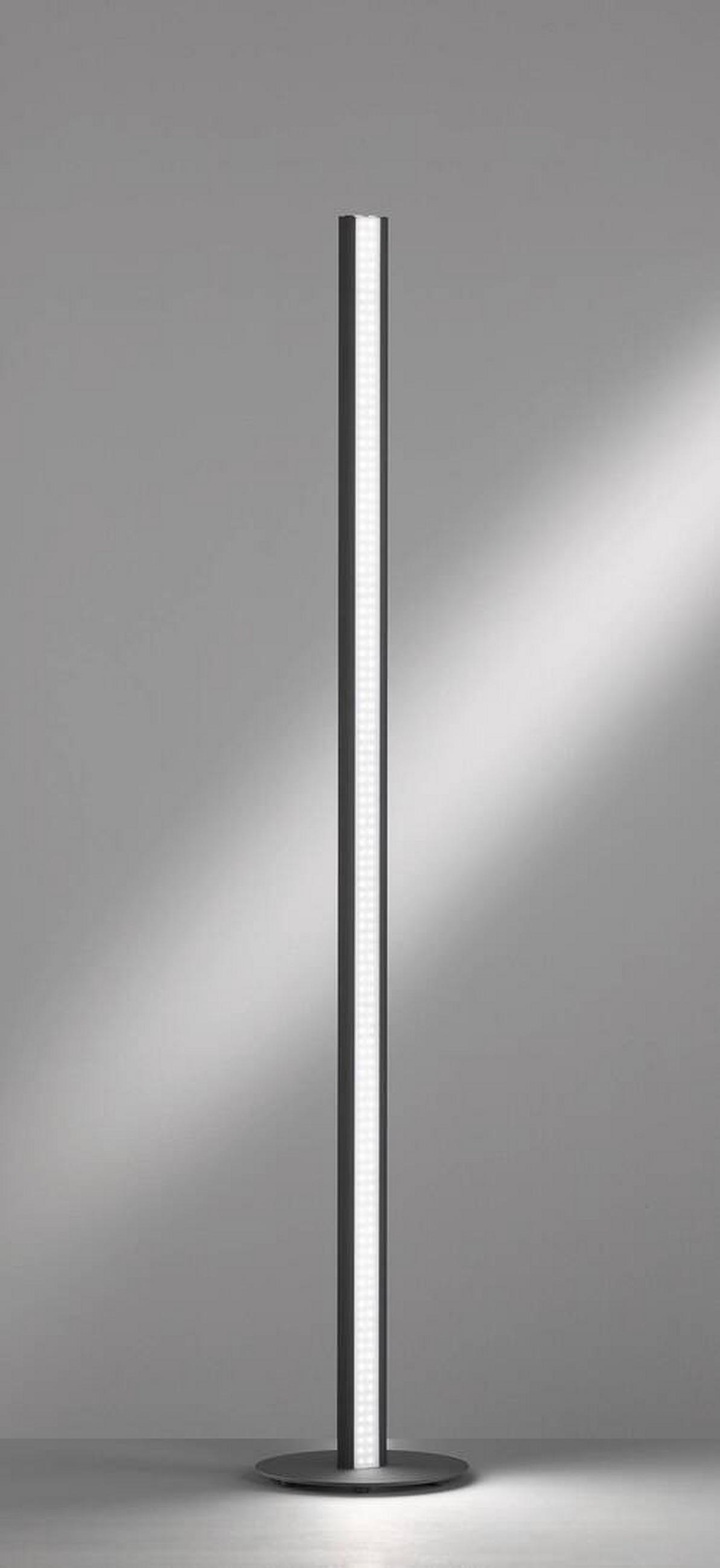 LED-STEHLEUCHTE - Schwarz/Nickelfarben, Design, Metall (10/140cm) - Fischer & Honsel