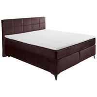 BOXSPRINGBETT 180/200 cm  in Aubergine  - Aubergine/Schwarz, Design, Holzwerkstoff/Kunststoff (180/200cm) - Xora