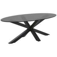 Măsuță De Cafea din metal, sticlă, 110/60/38 cm   - negru/gri, Design, sticlă/metal (110/60/38cm) - Carryhome