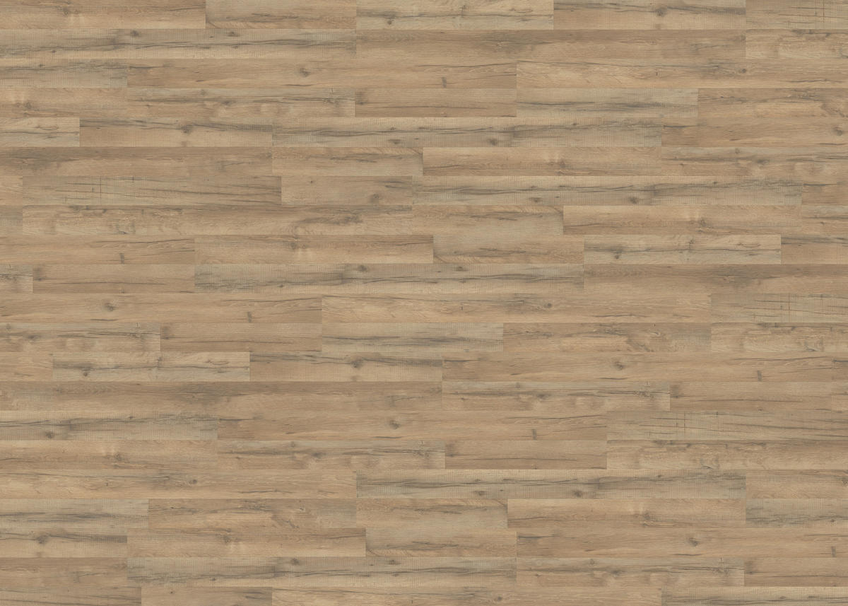 LAMINATBODEN Living by HARO Laminat Sonderedition NKL 31  per  m² - Hellbraun, Basics, Holzwerkstoff (19.3/128.2cm) - Living by HARO