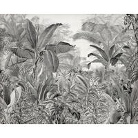 FOTOTAPETE  - Schwarz/Weiß, Trend, Papier (300/280cm) - Xora
