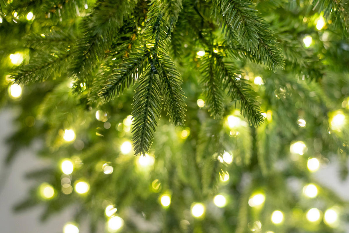 WEIHNACHTSBAUM 150 cm  - Waldgrün, Basics, Kunststoff/Metall (104/150cm)