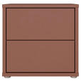 NACHTSCHRANK 50/48/42 cm  - Silberfarben/Terracotta, Trend, Holzwerkstoff/Kunststoff (50/48/42cm) - Carryhome