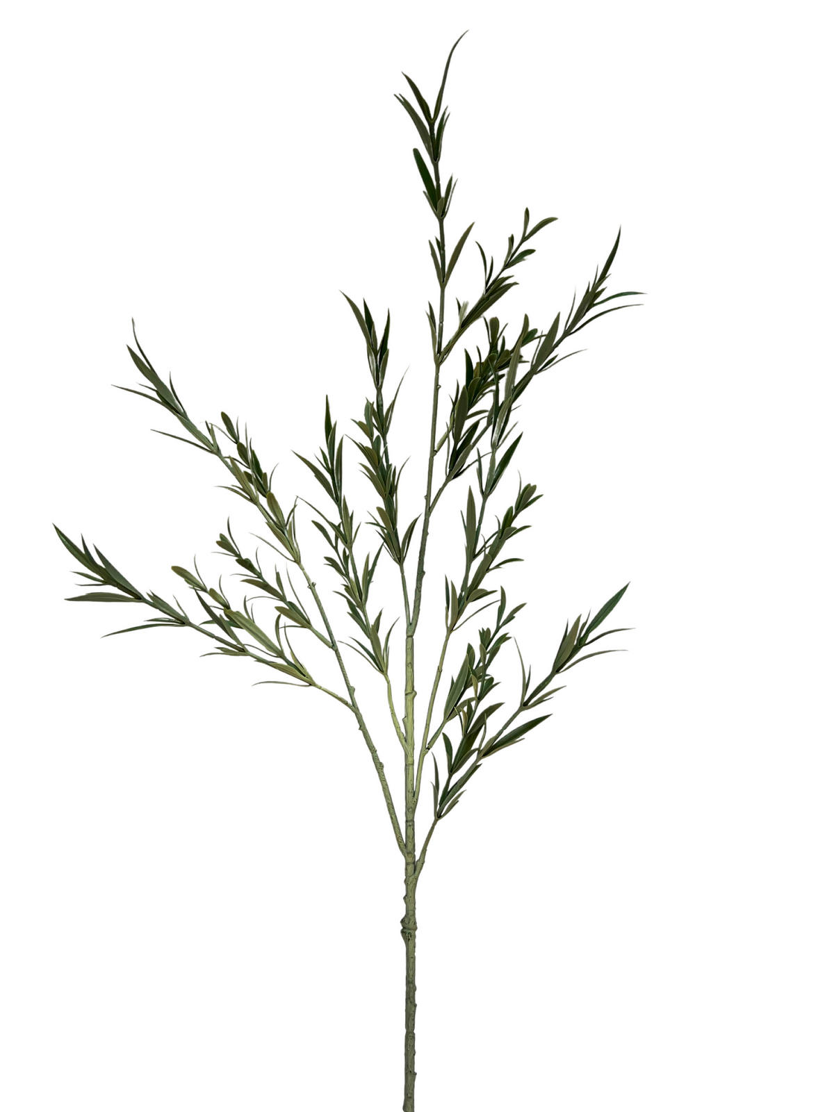 DEKOAST Rosmarin  - Grün, Basics, Kunststoff (80cm)