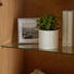VITRINE FRONT EICHE MASSIV Eiche furniert Eichefarben - Eichefarben, KONVENTIONELL, Glas/Holz (60/190/40,6cm) - Cantus