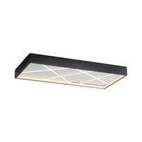 LED-DECKENLEUCHTE MIKADO 60/30/4,5 cm   - Schwarz, Design, Kunststoff/Metall (60/30/4,5cm)