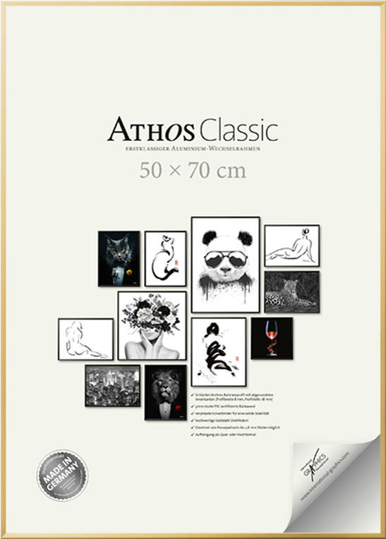 BILDERRAHMEN - Goldfarben, Basics, Papier/Holzwerkstoff (50/70/1,8cm)