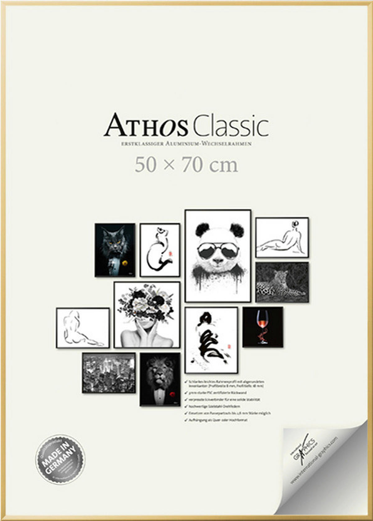 BILDERRAHMEN - Goldfarben, Basics, Papier/Holzwerkstoff (50/70/1,8cm)