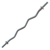 HANTELSTANGE  - Silberfarben, KONVENTIONELL, Metall (120/3/3cm)