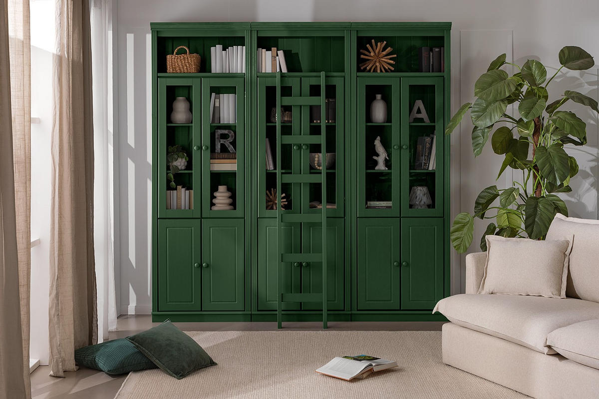 ANSTELLLEITER - Grün, Design, Holz (36/188/6cm) - Livetastic