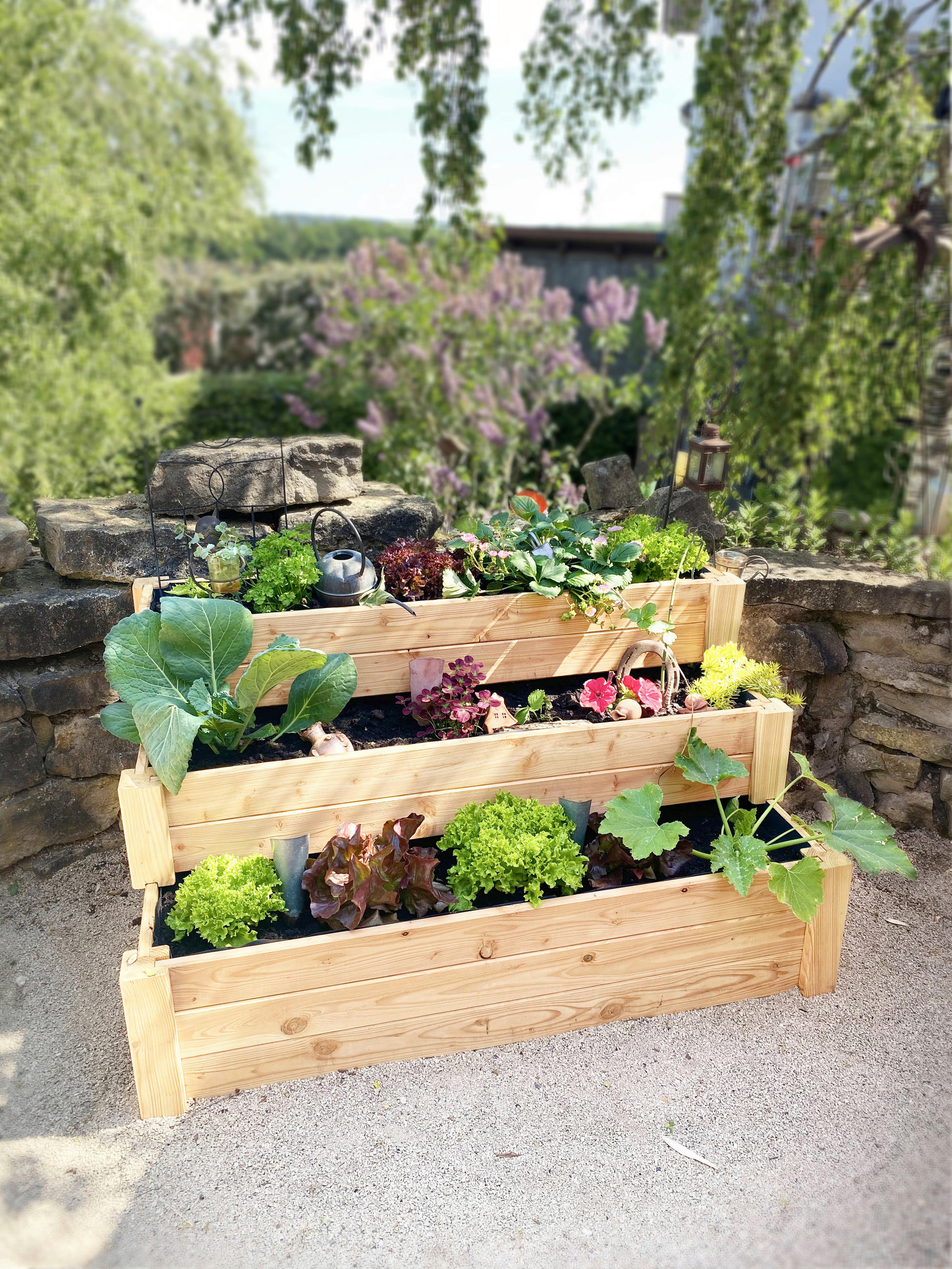 HOCHBEET 76/64/120 cm  - Lärchefarben, Basics, Holz (76/64/120cm)