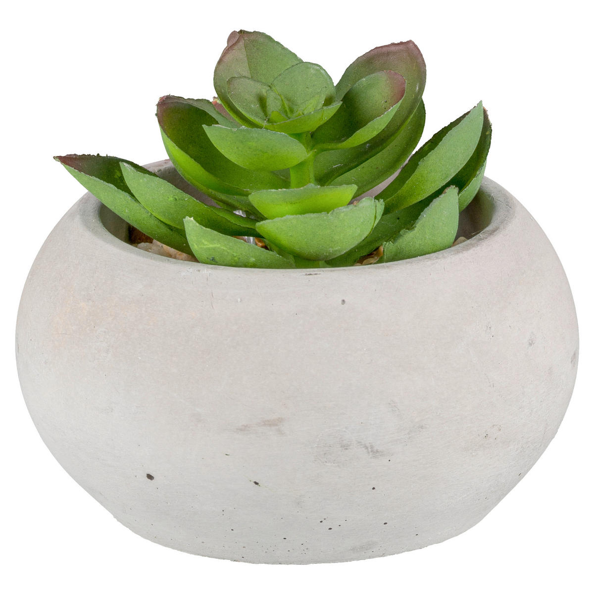 KUNSTPFLANZE Sukkulente 9 cm  - Hellgrau/Grün, Basics, Kunststoff/Stein (9cm)