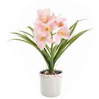 ORCHIDEE  - Hellrosa/Weiß, Basics, Keramik/Kunststoff (35/40/15cm)