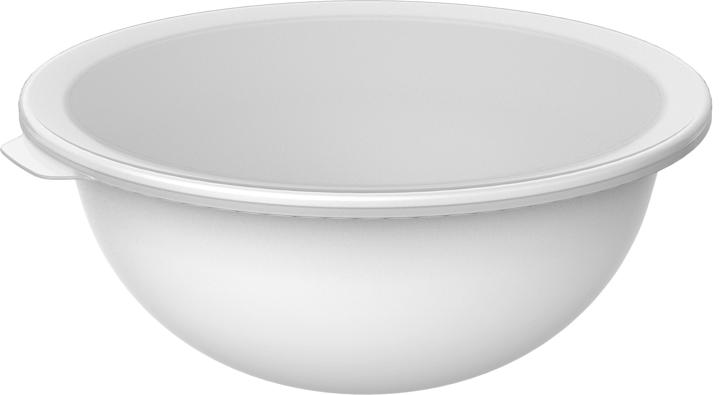 SCHÜSSEL CARUBA   - Transparent/Weiß, Basics, Kunststoff (32,2/30,5/13,3cm) - Rotho