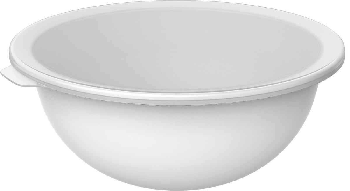 TÁL  - áttetsző/fehér, Basics, műanyag (32,2/30,5/13,3cm) - Rotho