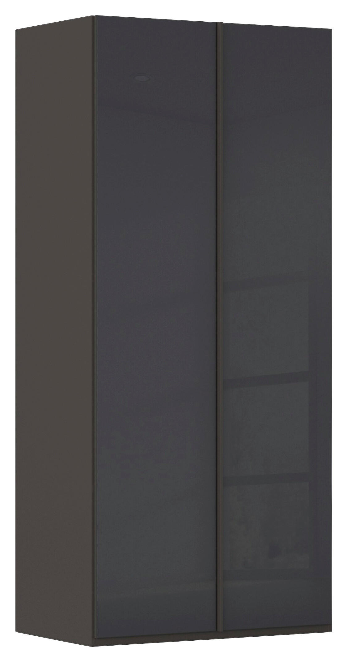 DREHTÜRENSCHRANK 101/223/61 cm,  in Graphitfarben, 2-türig  - Graphitfarben, Basics, Glas/Holzwerkstoff (101/223/61cm) - Novel