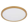LED PLAFONJERA ZA KUPATILA - boja mesinga/bela, Konvencionalno, plastika (29,4/2,5cm)