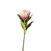 PROTEA Protea  - Pink/Rosa, Basics, Kunststoff (65cm)