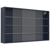 HÄNGEVITRINE in Anthrazit   - Anthrazit, Design, Glas/Holzwerkstoff (100/60/15cm) - MID.YOU