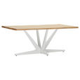 TISCHPLATTE      - Eichefarben, Design, Holz (200/100/4cm) - Landscape