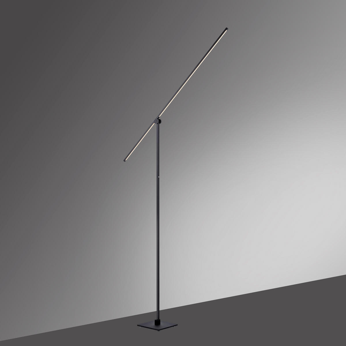 LED-STEHLEUCHTE - Schwarz, Design, Kunststoff/Metall (25/20,2/178cm) - Neuhaus PURE