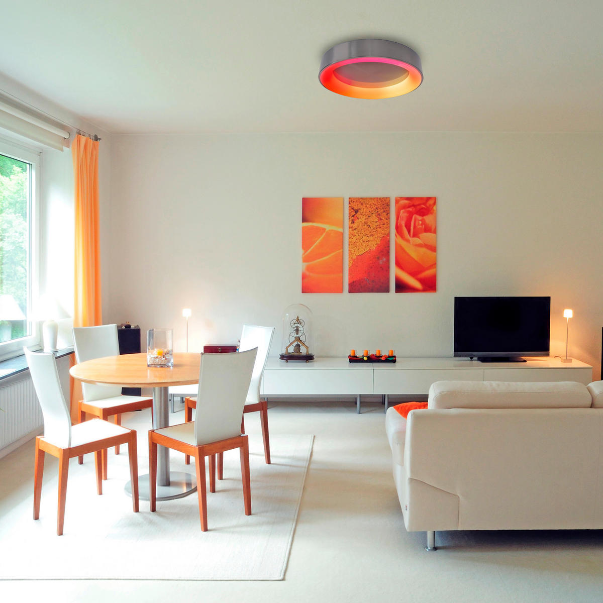 LED-DECKENLEUCHTE 46,5 cm  - Grau, Basics, Kunststoff/Metall (46,5cm) - Näve