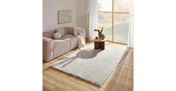 HOCHFLORTEPPICH 130/190 cm Beige  - Beige, Basics, Textil (130/190cm) - Boxxx