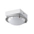 LED-DECKENLEUCHTE - Nickelfarben, Basics, Metall (16/9cm) LED-DECKENLEUCHTE - Nickelfarben, Basics, Metall (16/9cm)